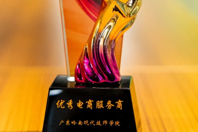 岭南现代技师学院荣获广东省电子商务协会“优秀电商服务商”称号
